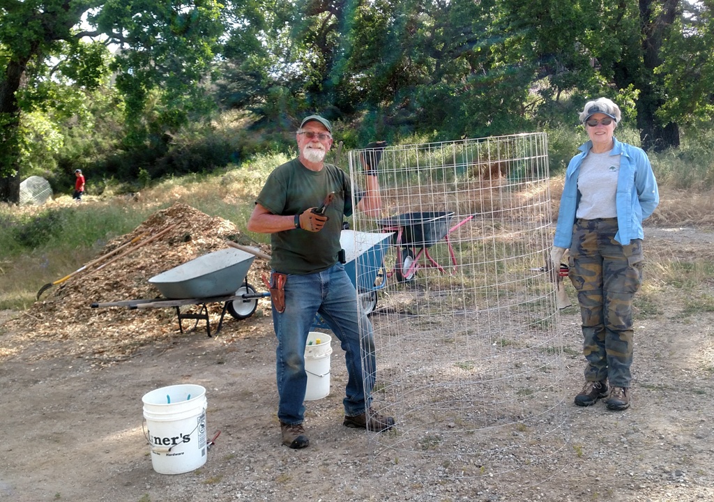 Cory and Deb making some new cages for the larger seedlings.